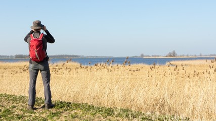 Male hiker viewing birds in wetland