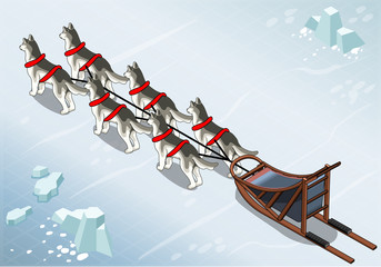 Isometric sled dogs in Rear View on Ice