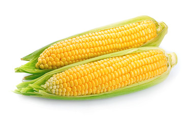 An ear of corn isolated