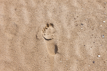 Fototapeta na wymiar Human footprint on sand beach