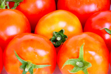 Close up of red-orange tomatoes