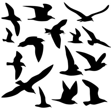 M&ouml;ven