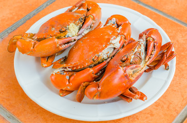 Grilled Crab on white plate