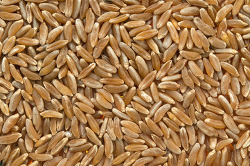 organic kamut
