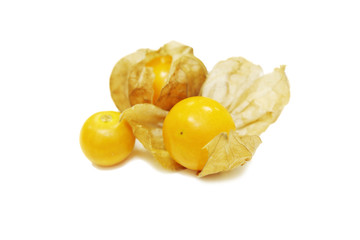 isolated cape gooseberry in white background