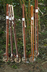 Kambotscha - Saiteninstrument