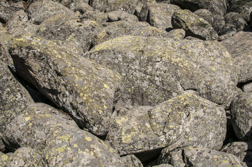 Old moraine rocks with moss closeup as background
