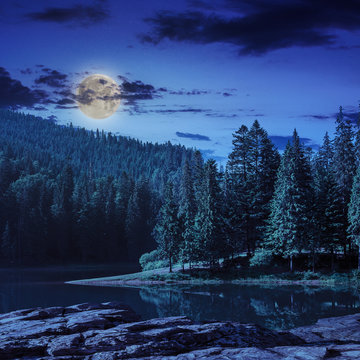 pine forest and lake near the mountain at night