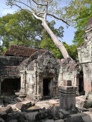 Preah Khan Temple entrace, trees, stones, Angkor, Cambodia