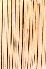 Bamboo texture