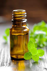 Mint oil © Sea Wave