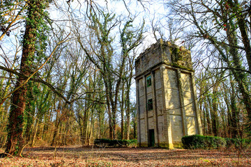 Fototapeta na wymiar Tower in the forest