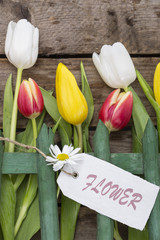 Tulpen auf Holz mit Gartenzaun und Schild