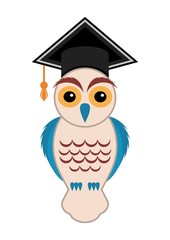 Black owl