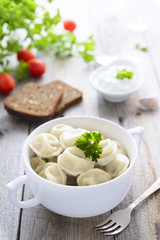 Traditional russian dumplings