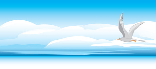 Fototapeta na wymiar Seagull on a skyscape background