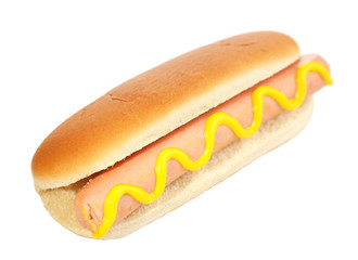 Tasty hot dog isolated on white