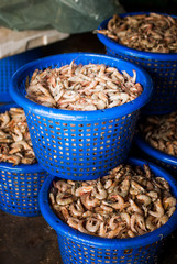 fresh shrimps for sale at the sea market