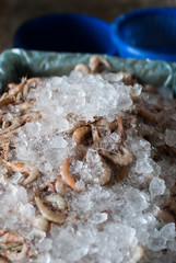 fresh shrimps for sale at the sea market