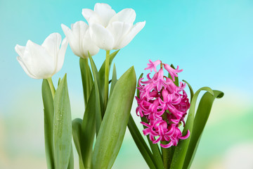 Beautiful tulips and hyacinth flower on bright background