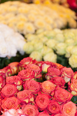 バラの花