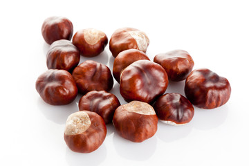 Chestnut on white background