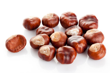 Chestnut on white background