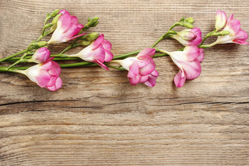 Obraz na płótnie Canvas Pink freesia flowers on wooden background. Copy space