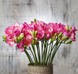 Pink freesia flowers on wooden background. Copy space