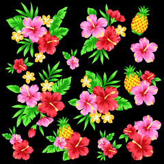 ハイビスカスのイラスト