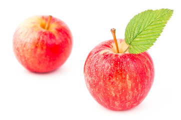 two red apples on a white background isolated