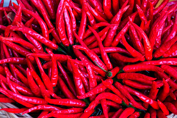 chilli