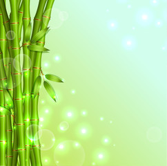 Fototapeta na wymiar Background with green bamboo
