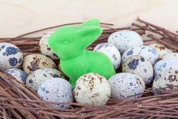 Quail eggs in nest with green Easter bunny