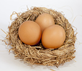 trois oeufs bio dans un nid de paille