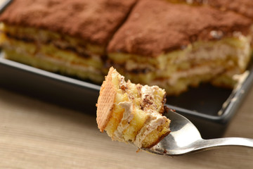 Close up of tiramisu cake with cocoa; selective focus.