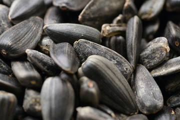 Sunflower seeds, for backgrounds or textures.