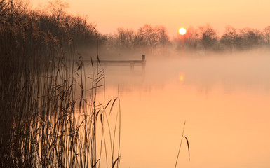 Fototapety  Mglisty i żółty wschód słońca na molo w jeziorze.