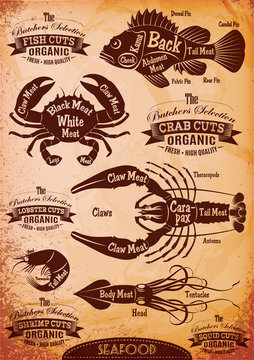 vector diagram cut carcasses seafood
