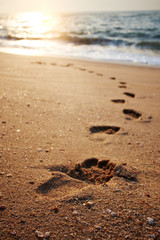 beach, wave and footsteps at sunset time