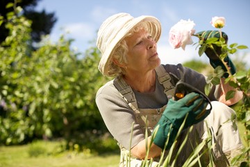 Senior woman checking flowers in garden