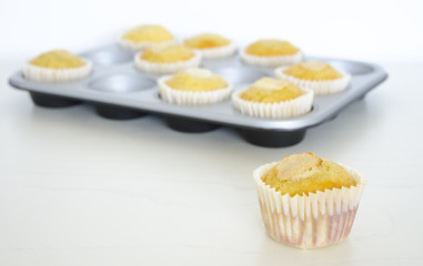 Delicious several muffins.