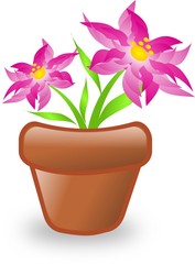 Pink flower in flowerpot