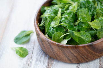 Close-up of a wooden bowl with corn salad leaves, studio shot