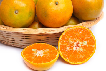 Orange honeysuckle species, Thailand.