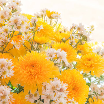 Bouquet of Yellow Gerbera Daisy