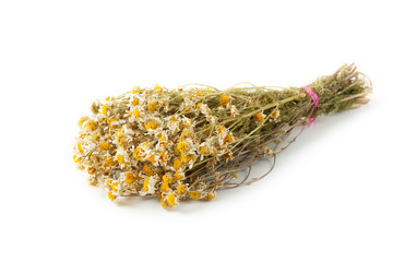 Dried chamomile on white background