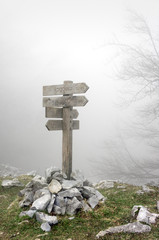 wooden signpost in forest