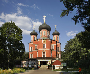 Большой собор Донской иконы Богоматери Донского монастыря
