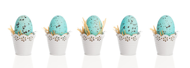 Blue Speckled Eggs